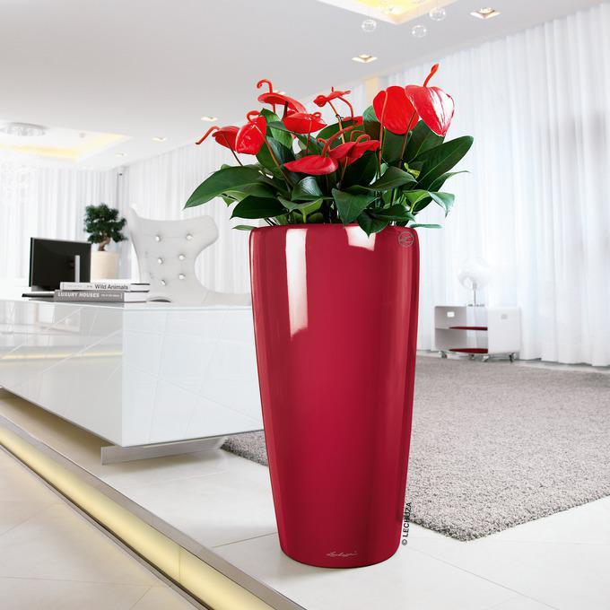Actual product image Lechuza Rondo (40 x 75 cm)