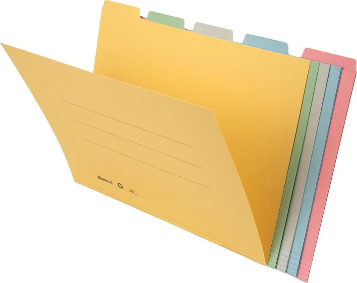 Produktbild Biella Registermappe (A4, 5 x)