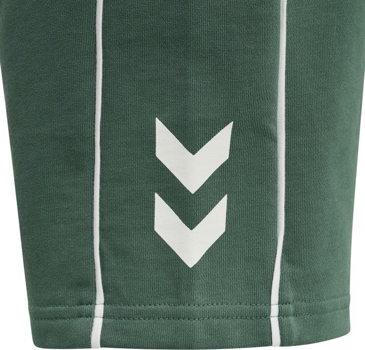 Actual product image hummel Hmldexter Shorts (122)