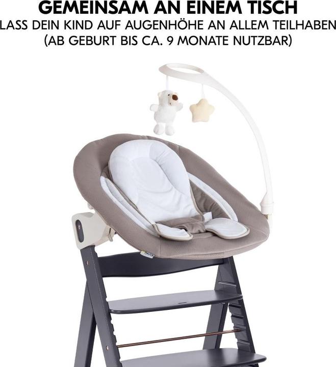 Image du produit Hauck Alpha Plus Select Dark Grey 4-tlg. Newborn (Chaise haute Rehausseur)