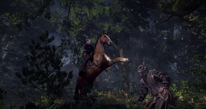 Produktbild Bandai Namco The Witcher III Game of the Year Edition (PS4, EN)