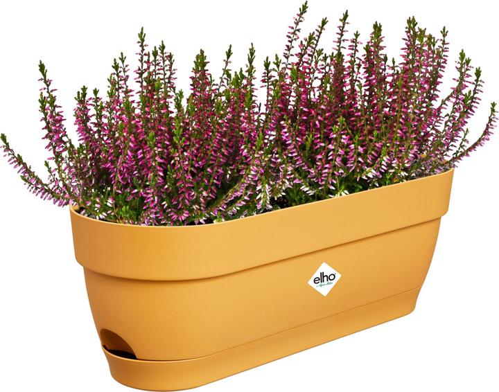 Image du produit Elho Vibia Campana (18.20 cm)