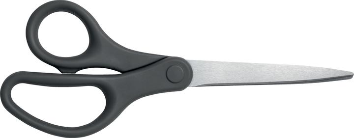 Actual product image Leitz Titanium Scissor (20.50 cm)