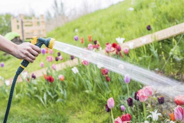 Produktbild Florasun Flexi (15 m)