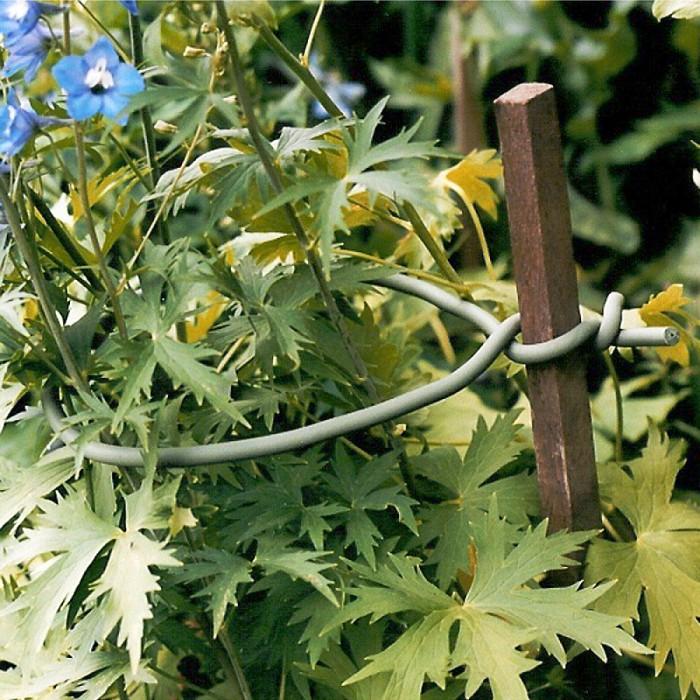 Immagine prodotto Haxnicks Originale cravatta morbida verde (500 cm, 0.70 cm)