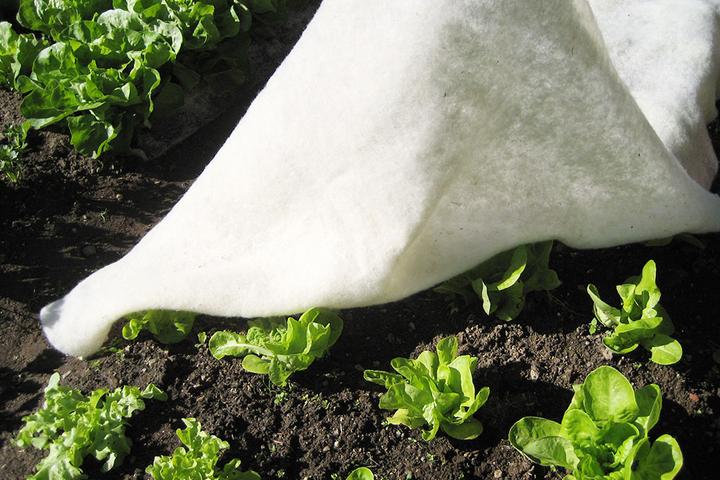 Produktbild GardenWool Wachstumsmatte