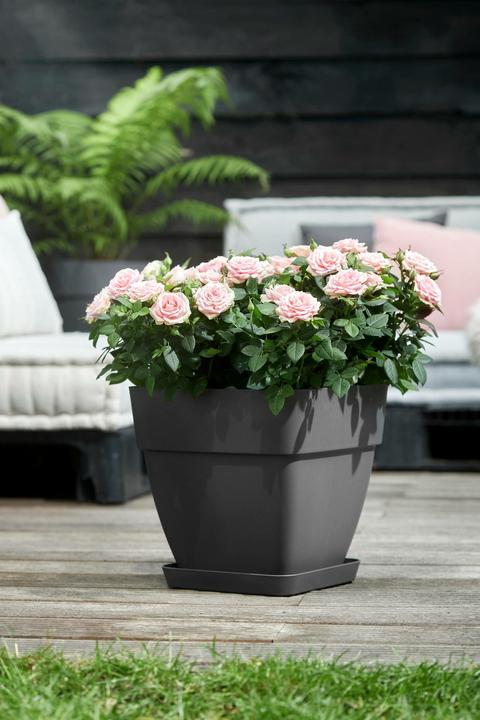 Produktbild Elho Blumentopf (30 x 28.80 x 28.80 cm)