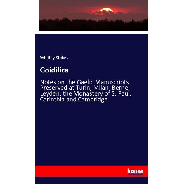 Goidilica, Fachbücher von Whitley Stokes
