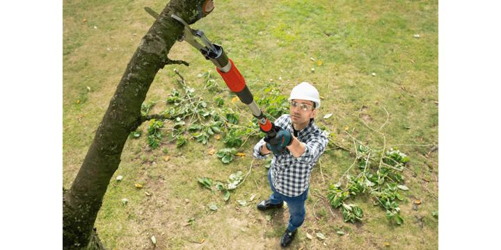 Produktbild Bosch Home & Garden AdvancedPrune