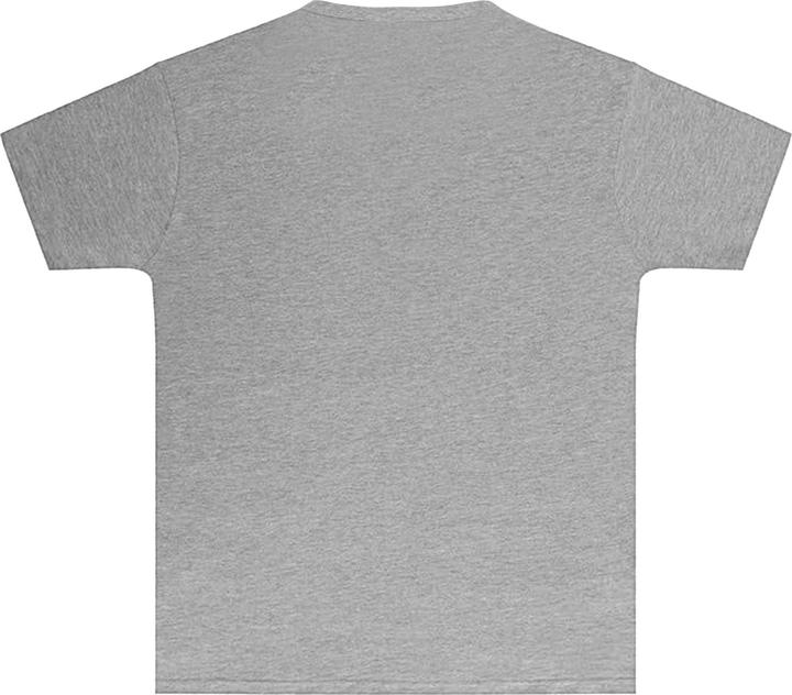Produktbild Sg Perfect Print Tee (128)