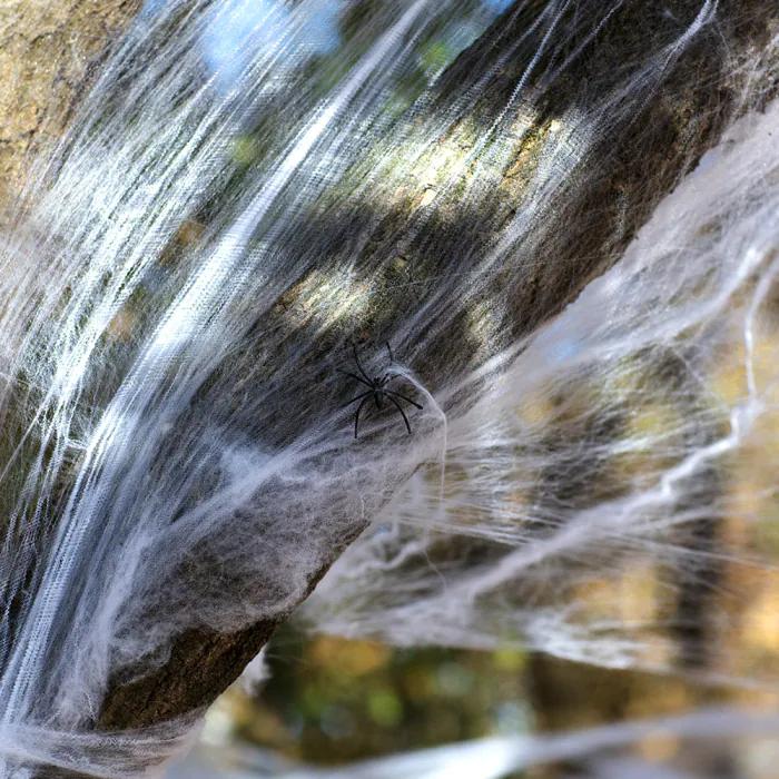 Actual product image Boland Spider Web with 25 Spiders (25 pcs.)