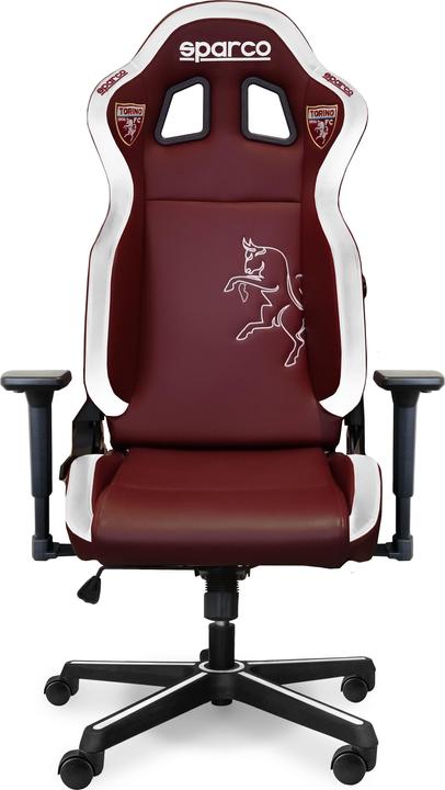 Sparco Football team icon