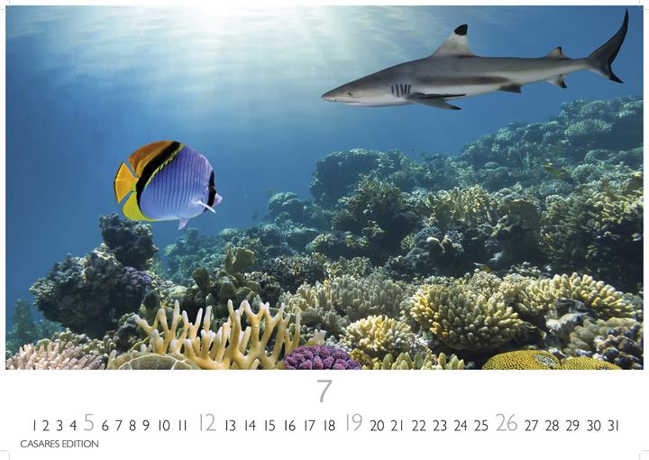 Actual product image Unterwasserwelten 2026 S 24x35cm (24 x 35 cm)