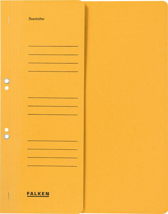 Produktbild Falken Sammelmappe 1/2 Deckel (A4, 1 x)