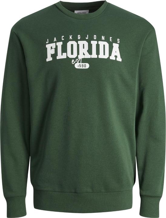 Produktbild Jack & Jones Jjcory Sweat Crew Neck Jnr (140)