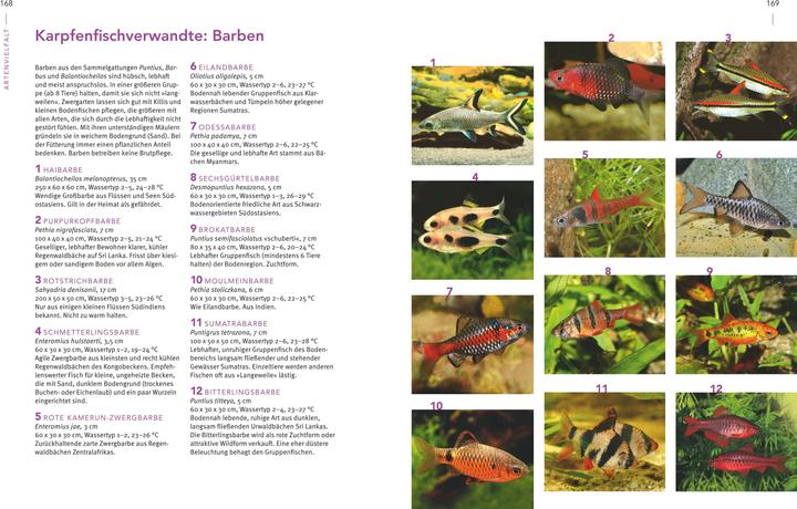 Immagine prodotto Das grosse Praxishandbuch Aquarium (Tedesco, Ulrich Schliewen, 2017)