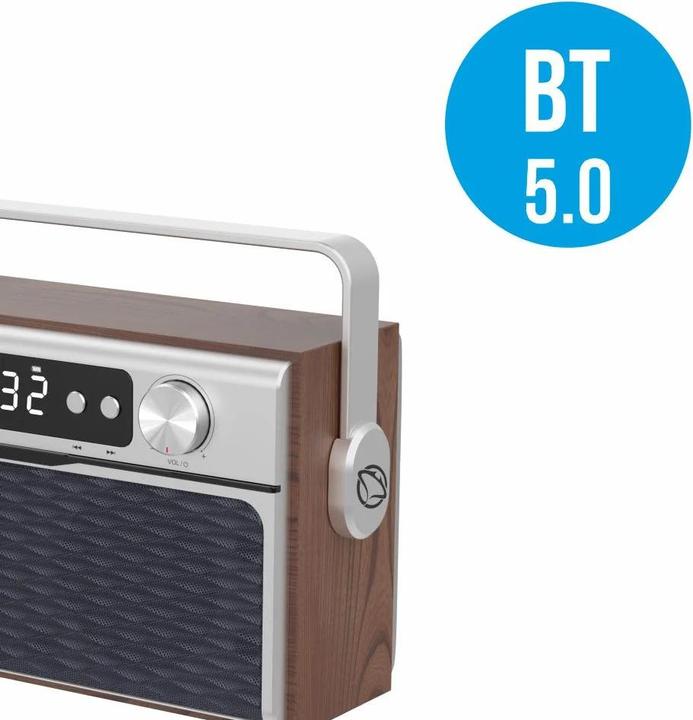 Actual product image Manta RDI917PRO (FM, PLL, Bluetooth)