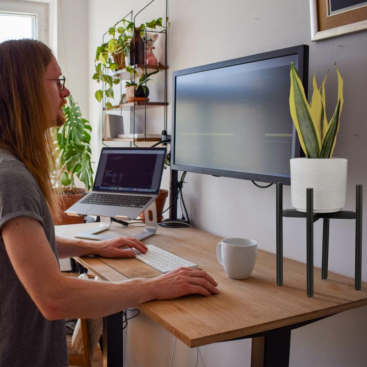 Image du produit Relaxdays 2x supports de plantes