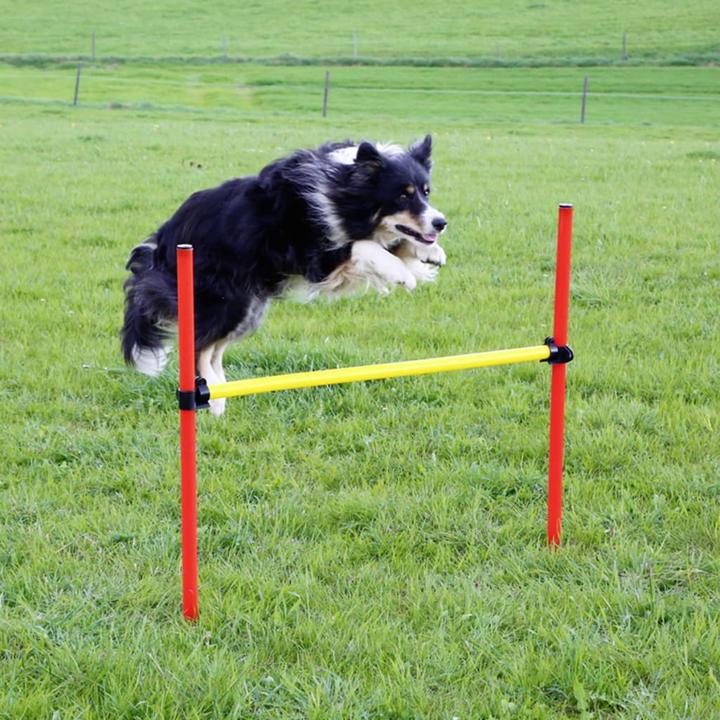 Actual product image Kerbl Complete set (One size, Agility)