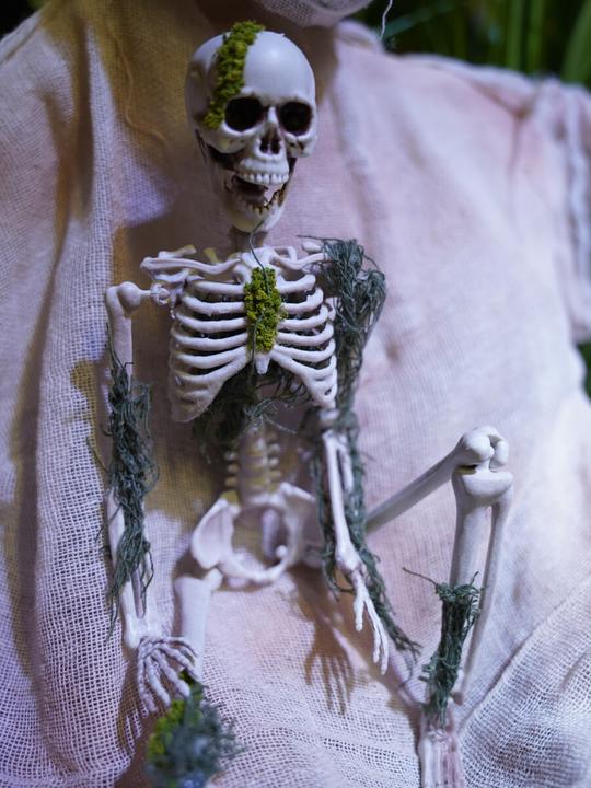 Actual product image Europalms Halloween skeleton with moss, 40cm