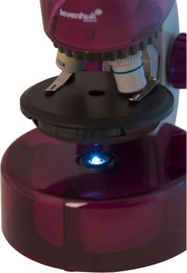 Productafbeelding Levenhuk LabZZ M101 amethist NL