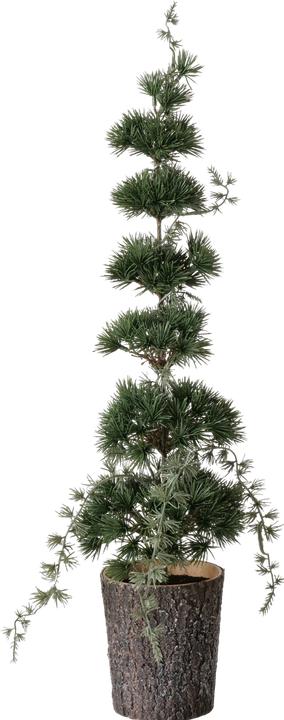 Immagine prodotto Boltze Home Cedro (64 cm)