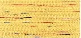 2302