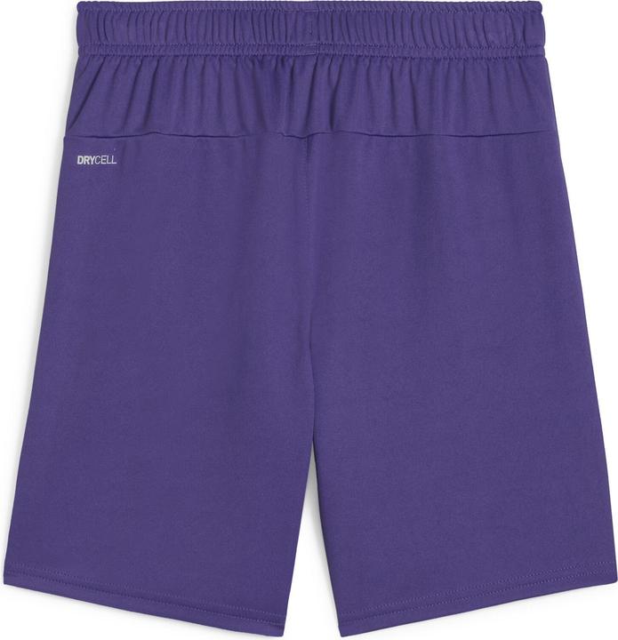 Actual product image Puma teamGOAL Shorts Jr (116)