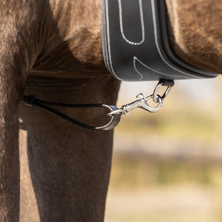 Produktbild Qhp jagdhalsband für pferde basic pro