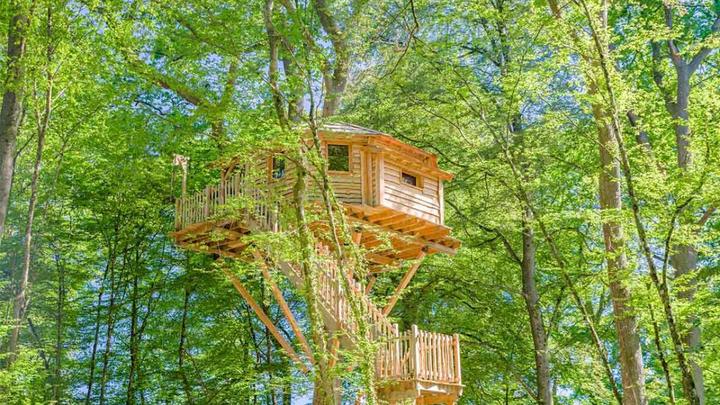 Actual product image Tree house overnight stay