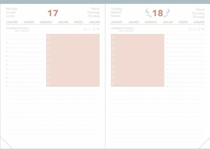 Produktbild Quo Vadis DAILY 21 COLOR