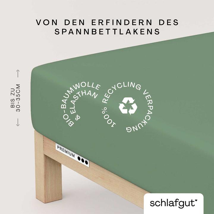 Produktbild schlafgut Premium (120 x 200 - 130 x 220 cm)