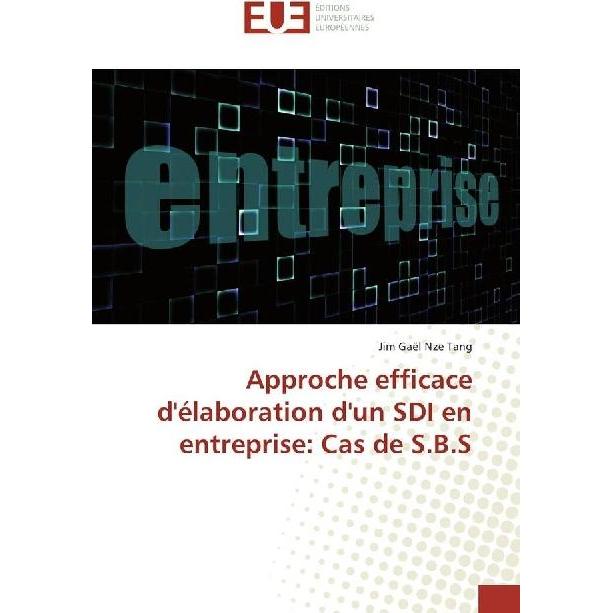 Approche efficace d'élaboration d'un SDI en entreprise: Cas de S.B.S, Fachbücher von Jim Gaël Nze Tang