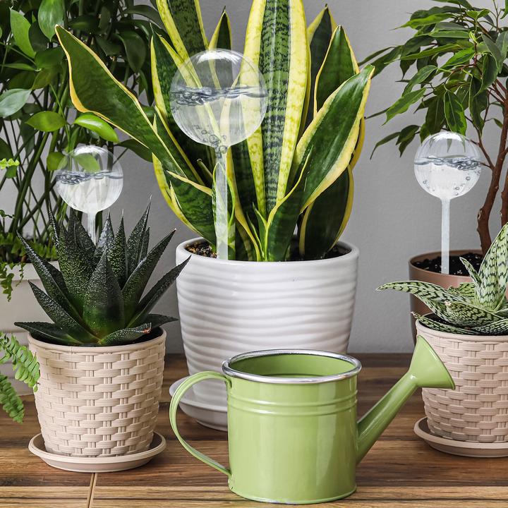 Produktbild Vilde 4er-Set BewÃ¤sserungskugeln aus Glas, 2 GrÃ¶ssen (Bewässerungskugeln)