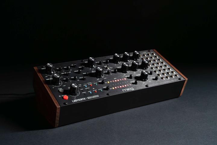 Actual product image Moog Labyrinth