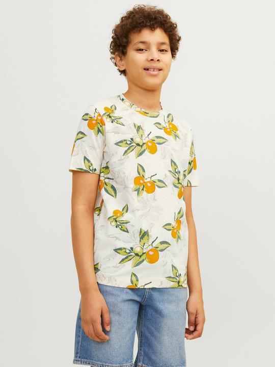 Produktbild Jack & Jones Jortampa Aop Tee Ss Crew Neck Jnr (152)