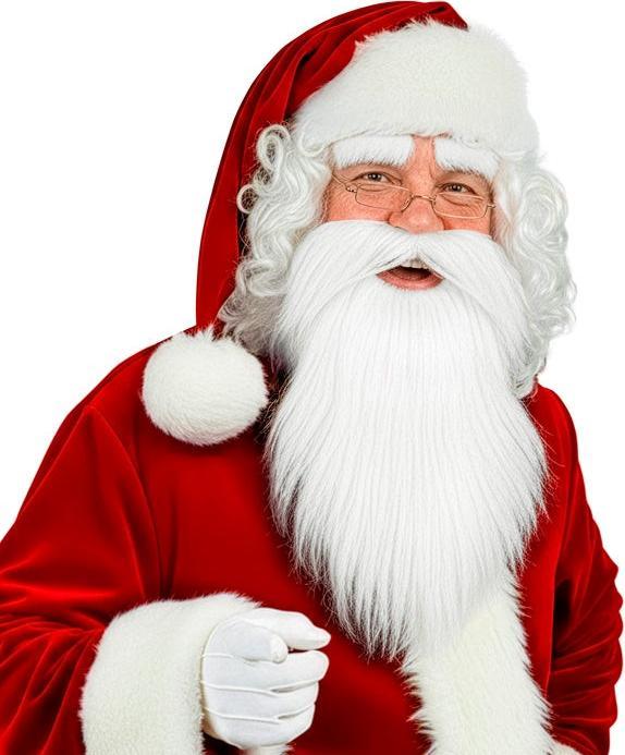 Produktbild Widmann Samichlausbart Schnauz