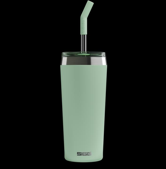 Actual product image Sigg Helia (0.60 l)