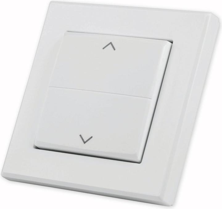 Actual product image EQ-3 Push-button rocker
