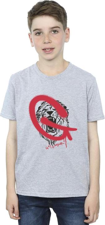 Produktbild Gryffindor Pop Spray TShirt Jungen (152, 158)