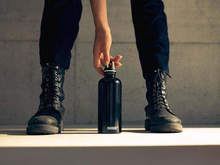 Image du produit Sigg Traveller (0.60 l)