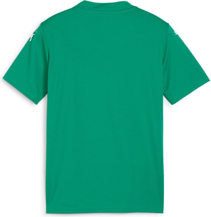 Produktbild Puma teamGLORY Jersey Jr (152)