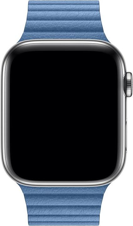 Actual product image Apple Bracelet (44 mm, Leather)