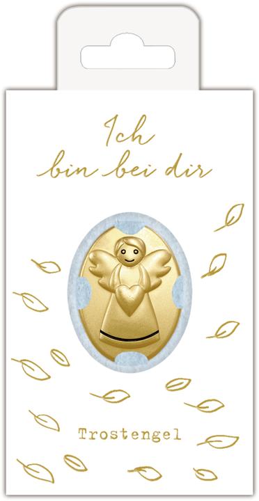 Immagine prodotto Moneta angelo custode - angelo del conforto.72028 (2020)