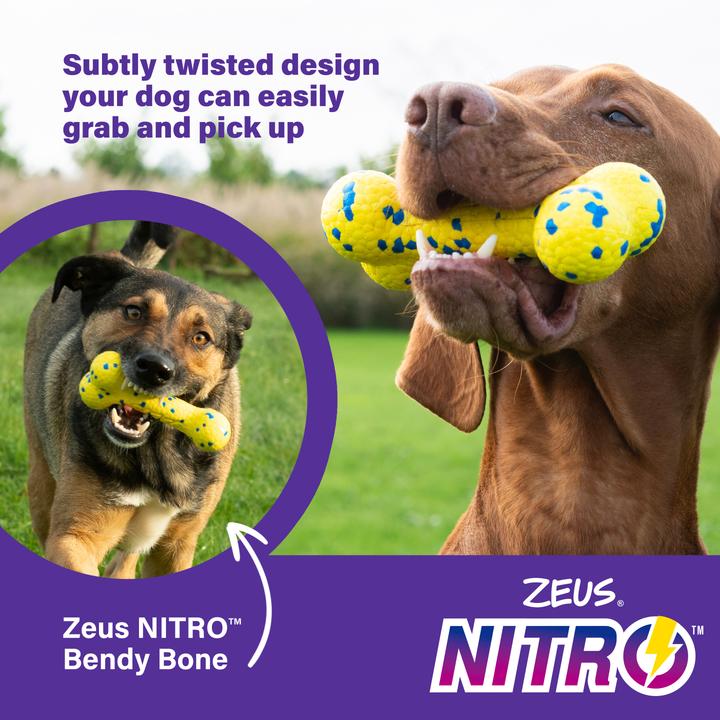 Actual product image Hagen Zeus Nitro - Bendy Bone - Yellow and Blue - 16cm (Dog chew toy)
