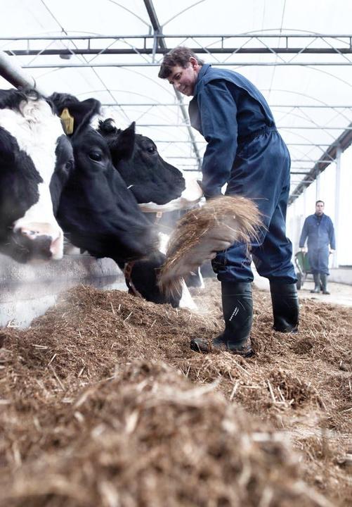 Immagine prodotto Dunlop Stivale di sicurezza Purofort Plus S5 (36)