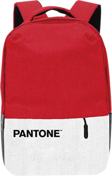 Actual product image Pantone Notebook Backpack 15.6'