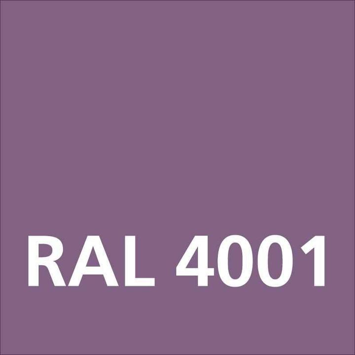 Actual product image Dupli-Color Glossy acrylic paint RAL 4001 red lilac (Purple, 0.40 l)