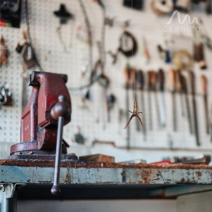 Actual product image Gardigo 66987INT Spider repeller Function type ultrasonic 1 pc.