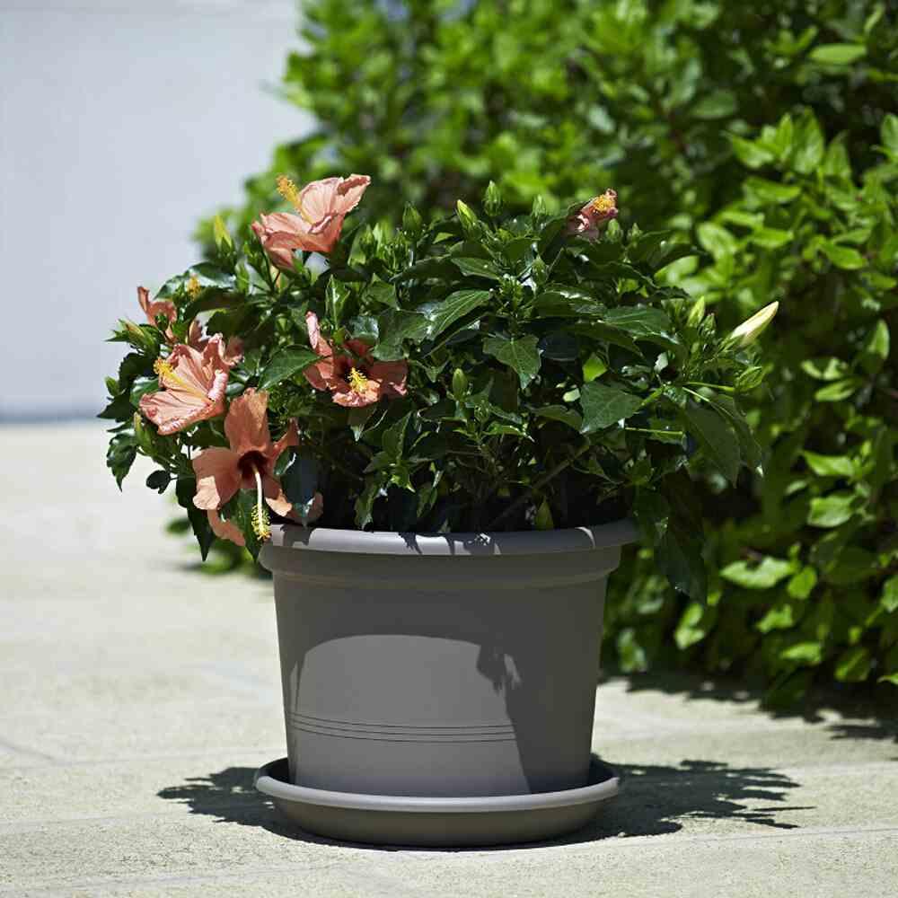 Thumbnail - Euro3plast, Blumentopf, Pflanzkübel (35 cm)